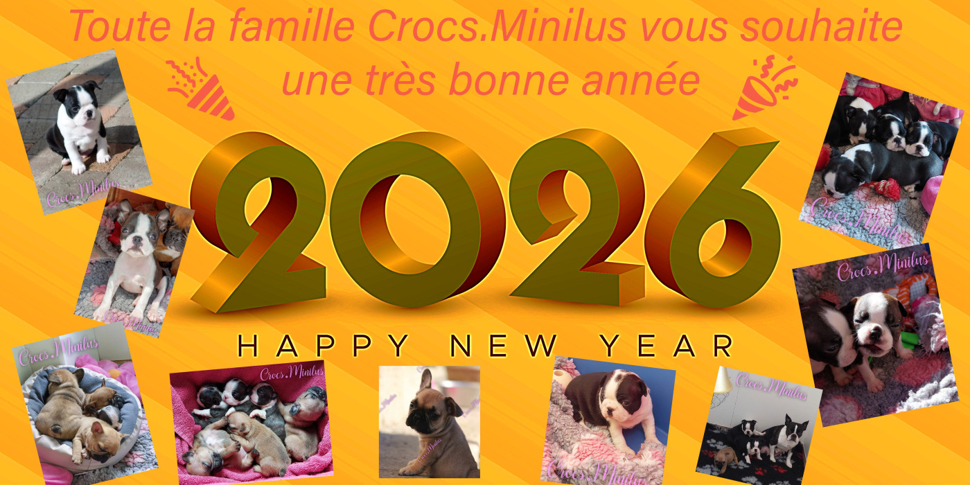 Bonne Année 2026