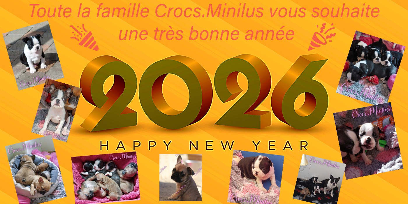 Bonne Année 2026
