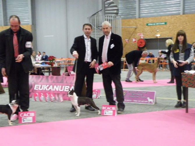 de Crocs Minilus - Nantes: Ca roule pour LASCAR